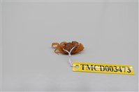 藏品(衛氏毛帶蟹)的圖片